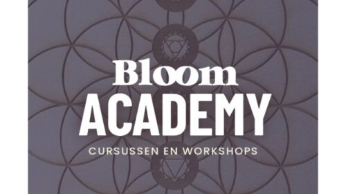 Cursussen & workshops bij Bloom