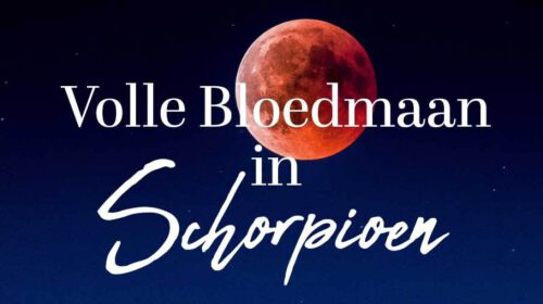 Volle Bloed Maan Schorpioen 2022 Online Artikel Bloom