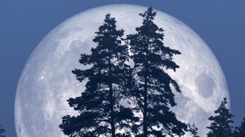 Volle Maan in Kreeft december 2023 header artikel Bloom online