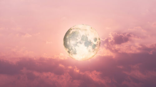 Volle Maan in Schorpioen 24 april 2024 header artikel Bloom web