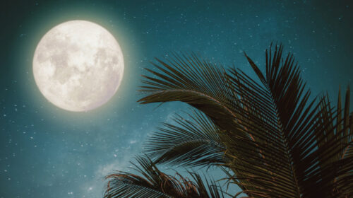 Volle Maan in Steenbok header Bloom juli 2025 edited