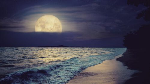 Volle Maan in Waterman 1 aug 2023 Bloom artikel