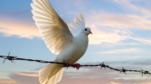 Vredesvoorstel Gaza Donald Trump horoscoopanalyse artikel Yves Polet header Bloom