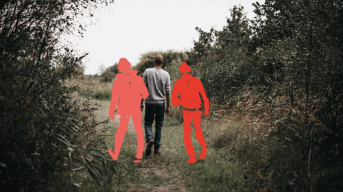 Wandelcoaching header Bloom web