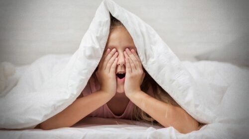 Wanneer kinderdromen nachtmerries worden Jacqueline Voskuil Het Grote Dromenboek Reeks deel 3 header artikel Bloom