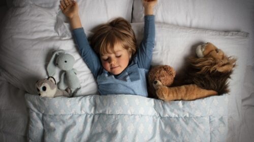 Wat willen kinderdromen vertellen Jacqueline Voskuil Het Grote Dromenboek Reeks deel 2 header artikel Bloom