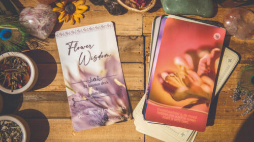 Wendy Leyten Flower Wisdom boek en orakelkaarten header boekentip Bloom