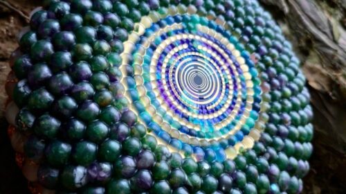 Yoeri Stor Orgonites Reportage Bloom 4 2026