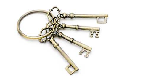 Zelfcoaching sleutels ontplooiing Bloom web