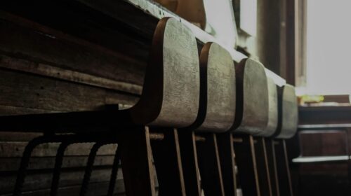 Zetels die je leefruimte transformeren Bloom Web Banner