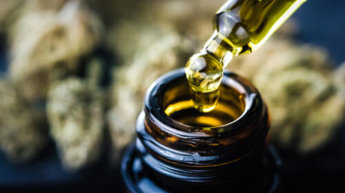 Cbd olie header bet artikel Bloom