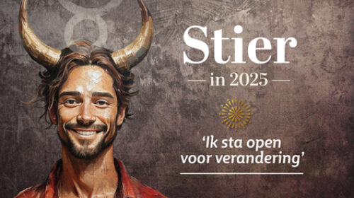 Stier