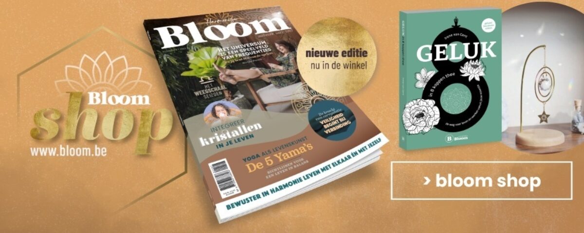 Bloom Webshop Spirituele Shop SEO