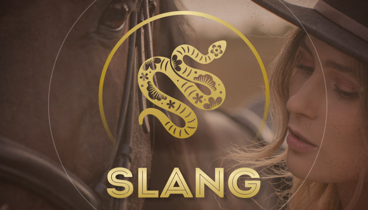 Chinese horoscoop slang 700x4006