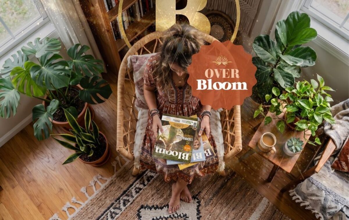 Over Bloom Header Web