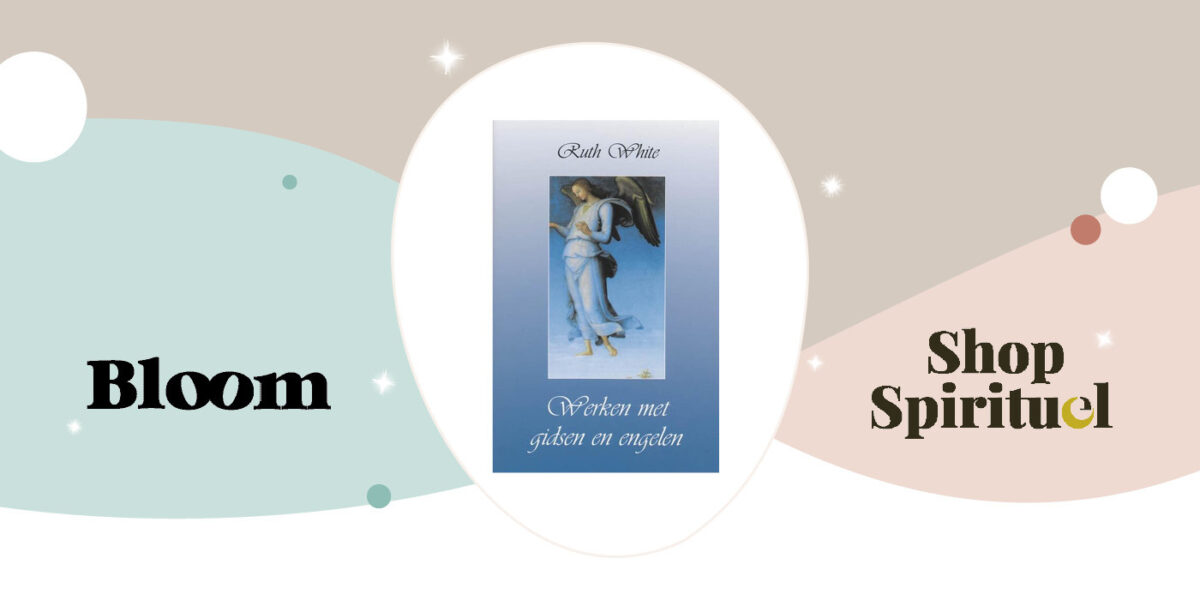 Werken met gidsen en Engelen 9789020281361 Ruth White Boek Webshop Google SEO