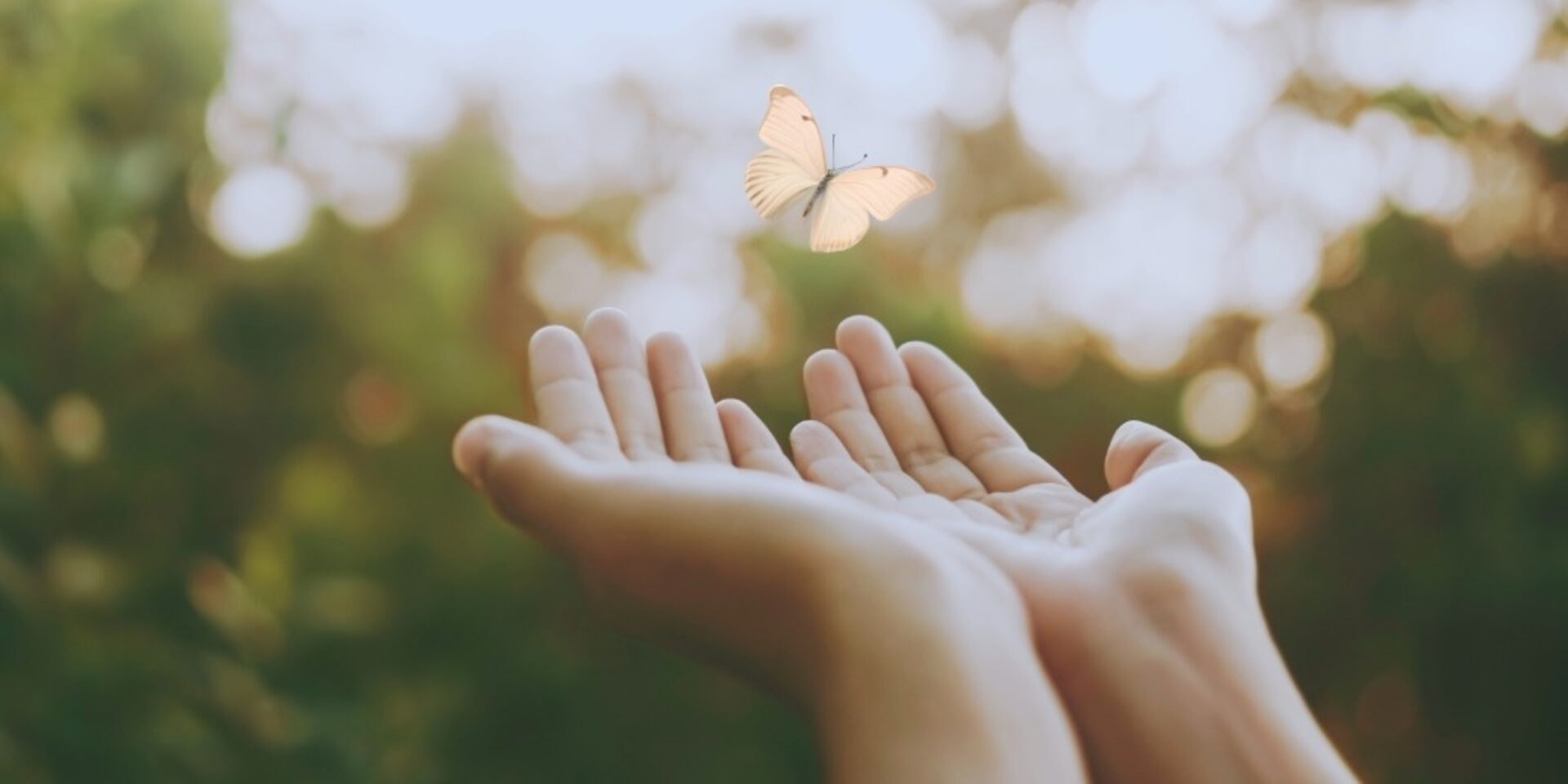 Wat als je ongeboren kind al iets te vertellen heeft?