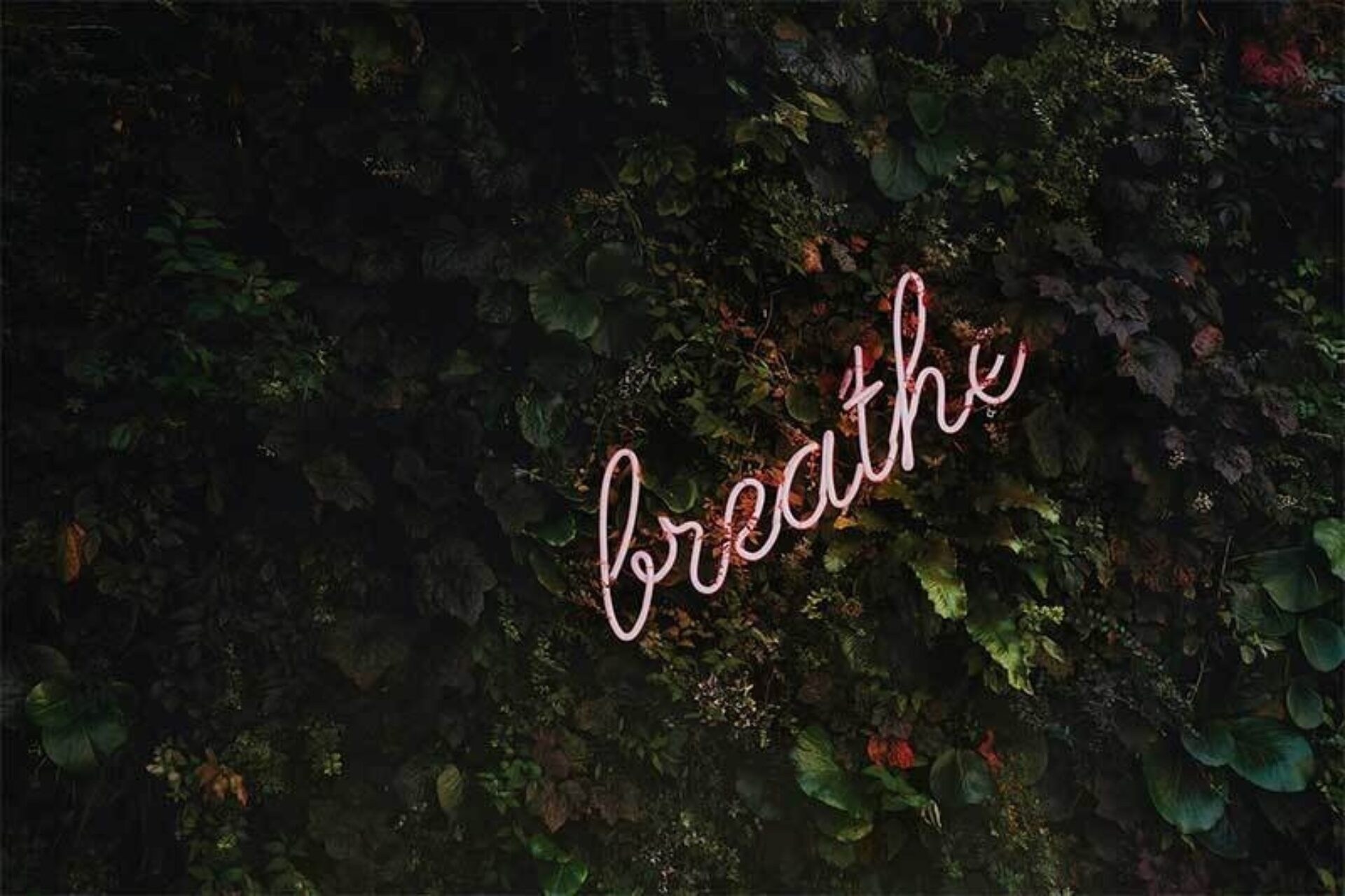 Cadeaus met een boodschap: spirituele en mindfulness spreuken als blijvende herinnering