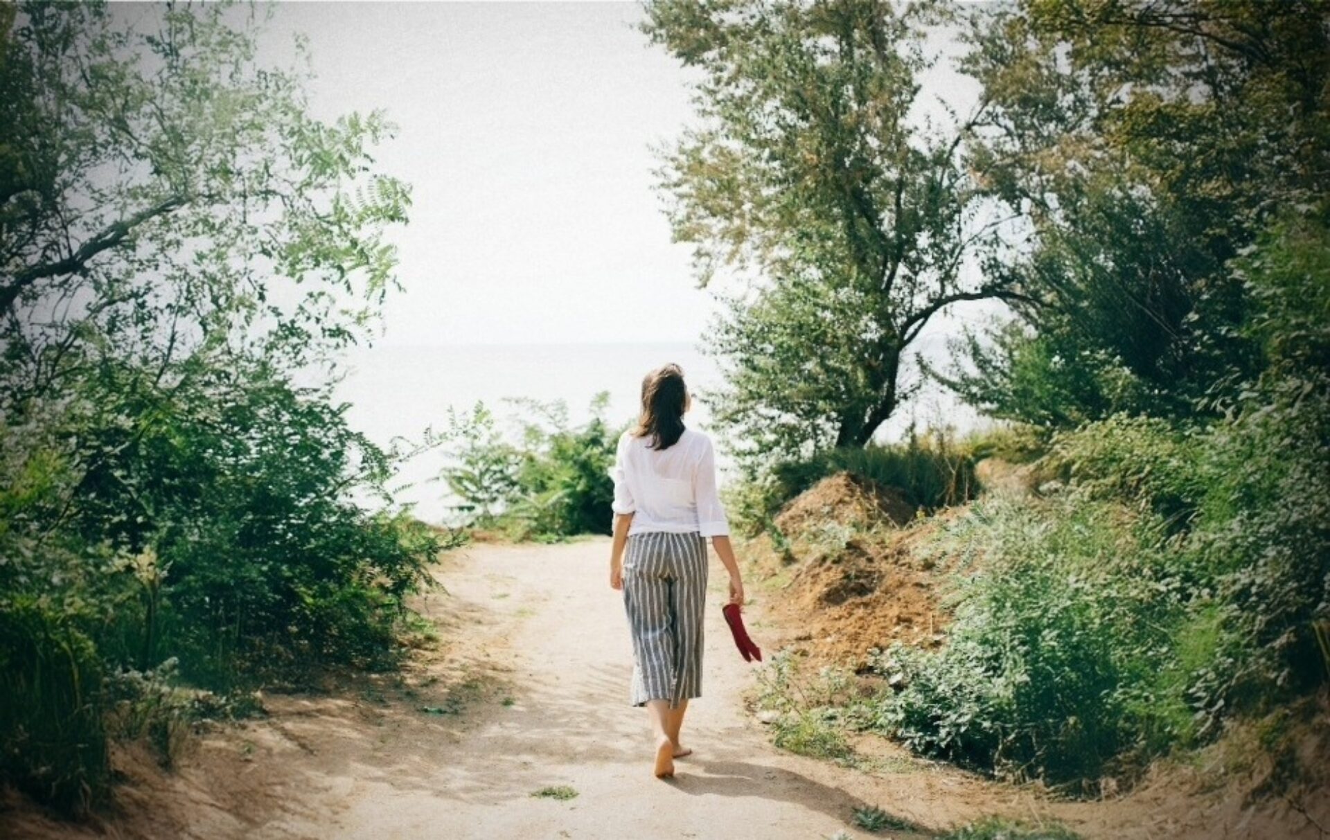 De helende kracht van wandelen
