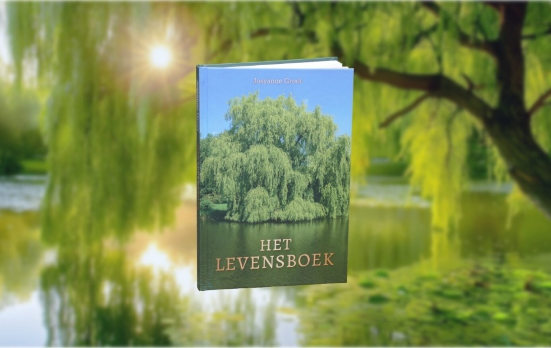 Boekentip • Het Levensboek • Josyanne Groot