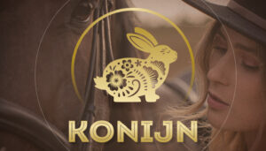 Het Konijn / de Haas