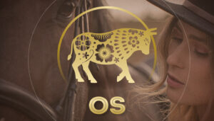 De Os / Buffel