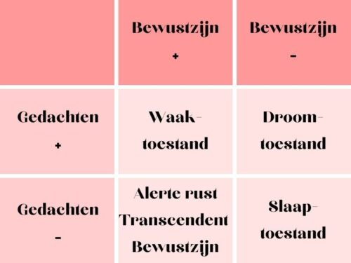 Bewustzijn
