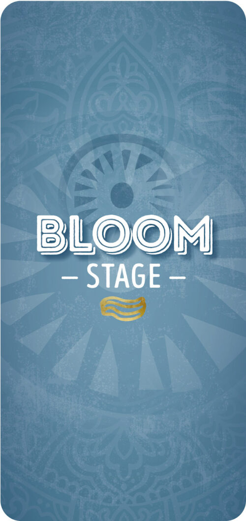 Bloom Stage Summer Bloom Festival Antwerpen Oostende 2025 Lineup