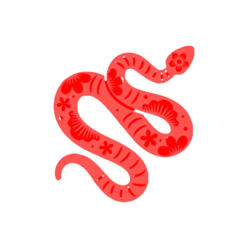 Chinese Jaarhoroscoop 2024 Slang