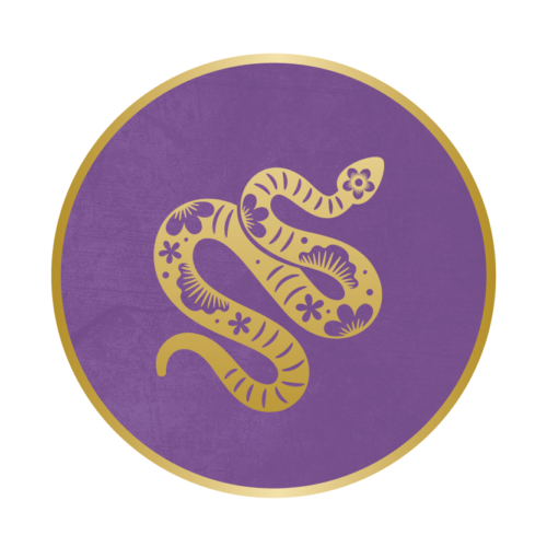 Chinese Jaarhoroscoop 2025 Slang