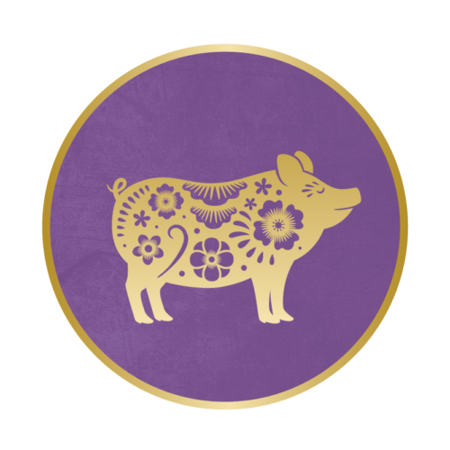 Chinese Jaarhoroscoop 2025 Varken