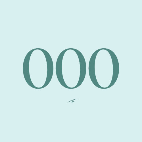 Drievoudige engengetallen 000