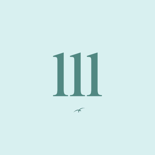 Drievoudige engengetallen 111