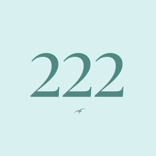 Drievoudige engengetallen 222
