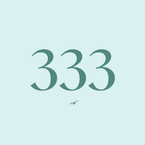Drievoudige engengetallen 333