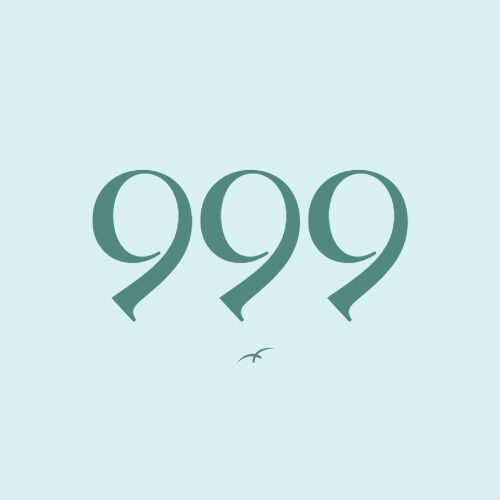 Drievoudige engengetallen 999