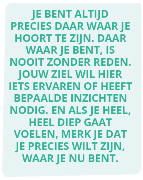 Geef-flow-aan-je-leven-kader-Bloom-web