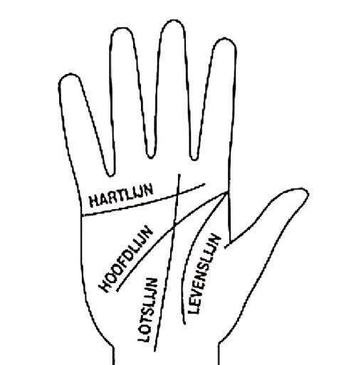 Handlezen Deel 3 Willem De Baets 2023 Levenslijn