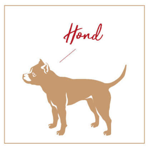 Hond Chinese Horoscoop Bloom Jaar Van Het Varken Seo