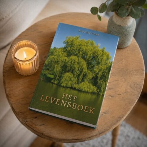Josyanne Groot Het Levensboek cover