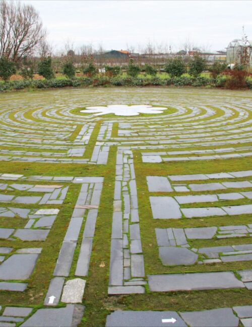 Krachtplekken Marialabyrint visual artikel Bloom