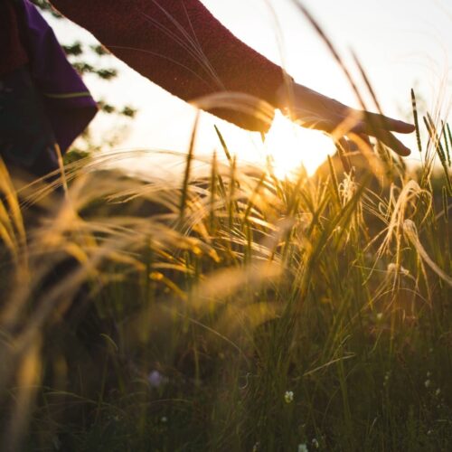 Lezing Holistisch Genezen Bloom Spirituele Expo Fons De Voegt
