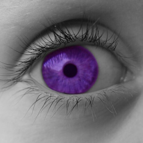 Maaike Kerstens Kleur indigo Artikel Bloom 2