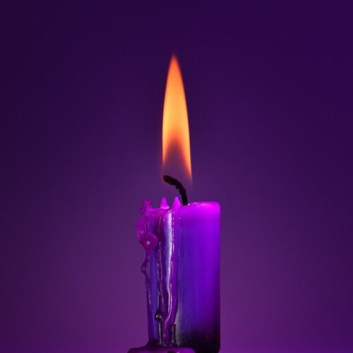 Maaike Kerstens Kleur violet Artikel Bloom 3