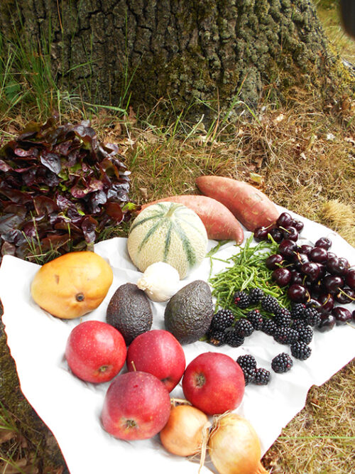 Natuurlijke flow in je leven voeding Bloom web