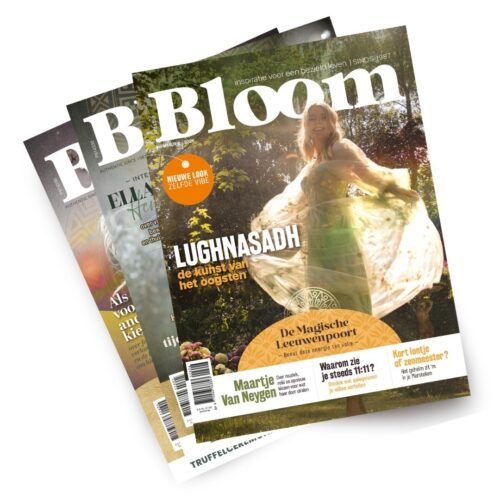 Over Bloom Magazine Covers Bloom Web