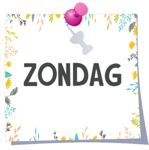 Planetaire-weekplanning-zondag-Bloom-web