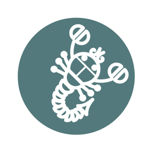 Sterrenbeelden schorpioen