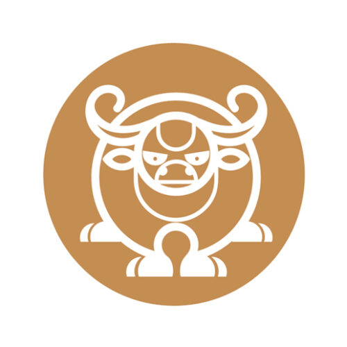 Sterrenbeelden stier