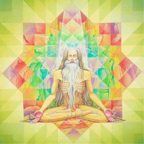 Samadhi artikel bloom